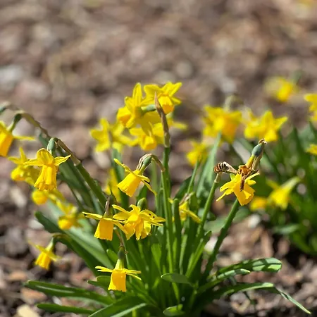 Ferienwohnung Schoemberg