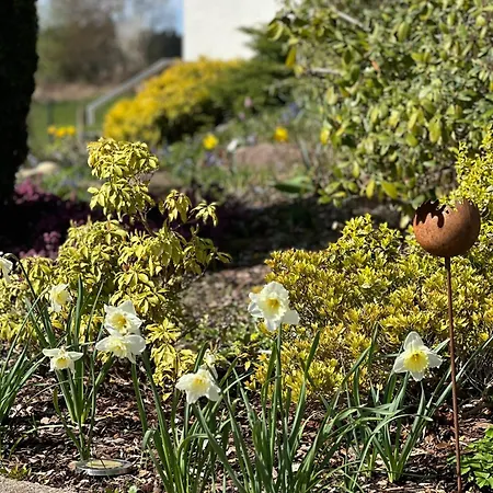Ferienwohnung Schoemberg Apartmán
