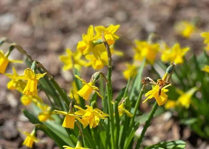 Ferienwohnung Schoemberg