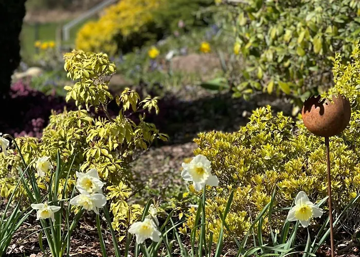 Ferienwohnung Schoemberg Appartement